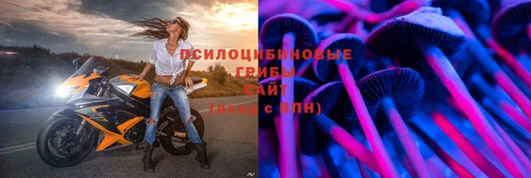 ГАЛЛЮЦИНОГЕННЫЕ ГРИБЫ Бородино