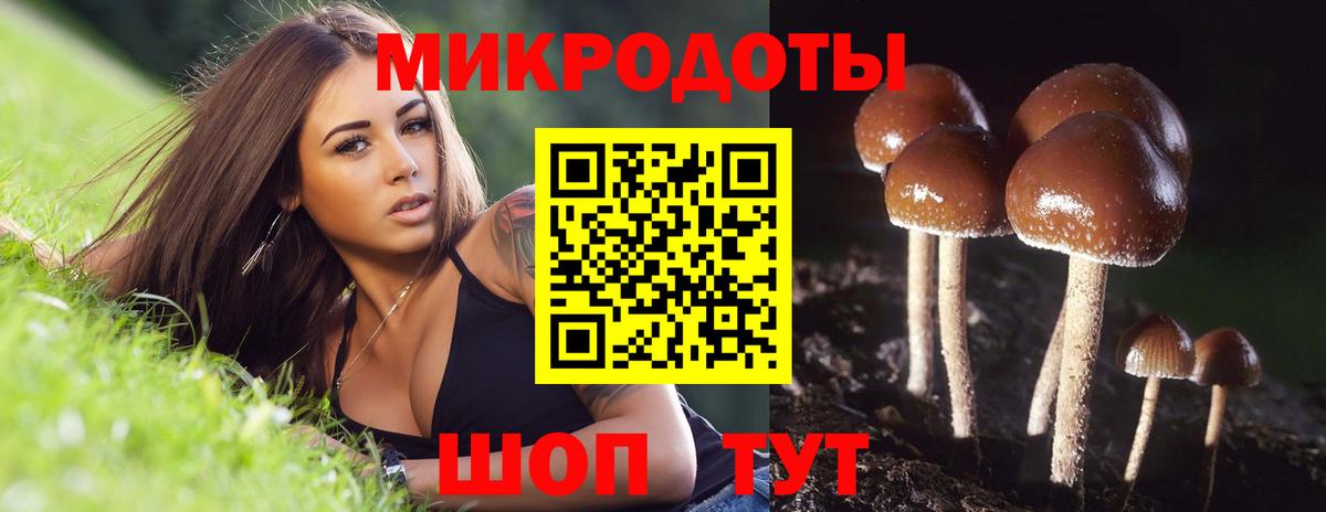 Псилоцибиновые грибы Psilocybine cubensis  Вход с VPN  Галлюциногенные грибы Psilocybine cubensis  Зима 